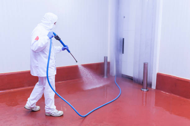 Best Warehouse Cleaning  in Rockwell Place, TX